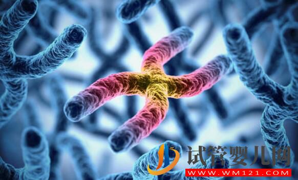 做試管嬰兒的條件是什么?(圖3)