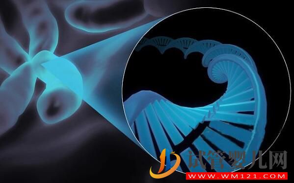 試管嬰兒可以避免先天性聾啞等遺傳性疾病嗎(圖2)