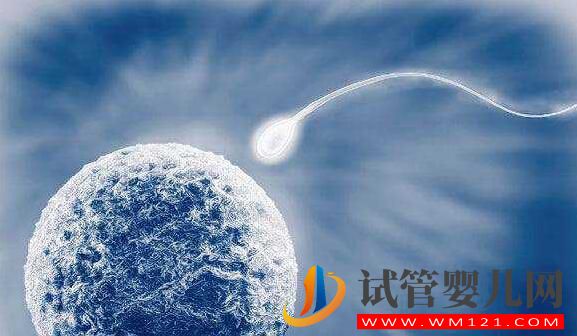 高齡女性做試管如何提高成功率？要注意什么(圖2)