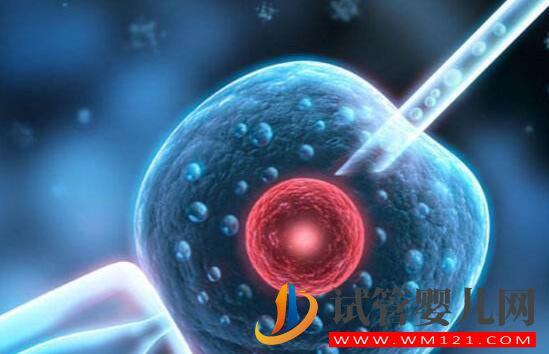 為什么有的人做試管會(huì)失敗呢？哪些情況不適合進(jìn)行備孕？(圖3)