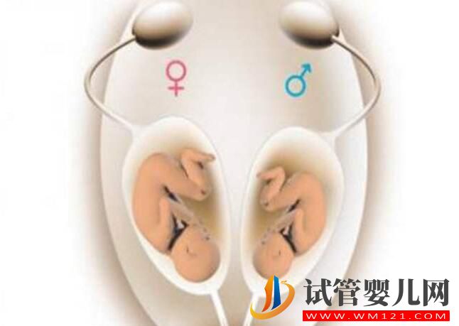 高齡女性做試管應該選擇第幾代技術？(圖1)