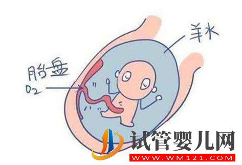 羊水的秘密你知道嗎？帶您了解女性的生育奧秘！(圖2)