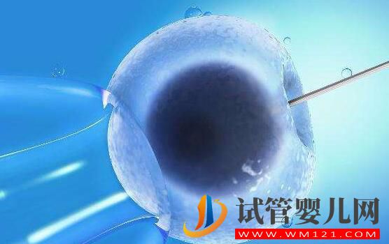 為什么囊胚移植的成功率會更高呢?(圖2) 為什么囊胚移植的成功率會更高呢?(圖2)