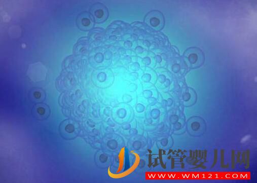 有哪些方法能提高試管嬰兒的成功率？怎樣提高卵子質(zhì)量？(圖1)