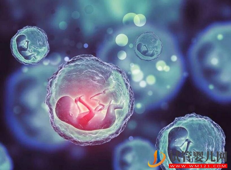 子宮內膜過薄會有什么影響？試管前應該如何預防？(圖1)