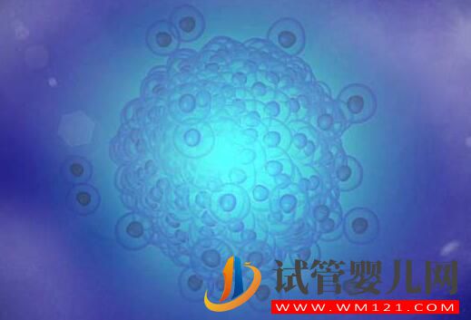 子宮內膜過薄會有什么影響？試管前應該如何預防？(圖2)