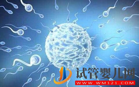 子宮內膜過薄會有什么影響？試管前應該如何預防？(圖3)