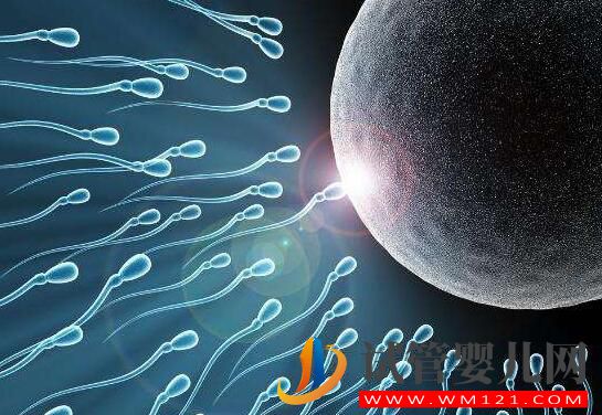 子宮內膜過薄會有什么影響？試管前應該如何預防？(圖4)