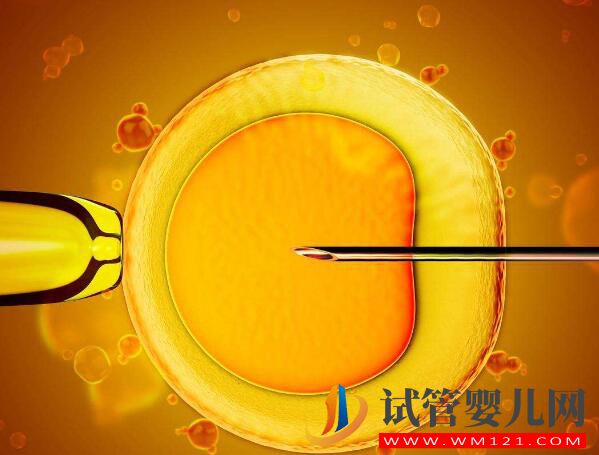 子宮內膜過薄會有什么影響？試管前應該如何預防？(圖5)