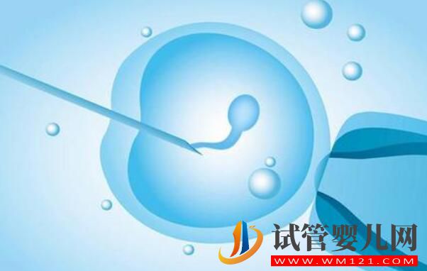 做試管為什么要做檢查？都有哪些檢查項目？(圖3)