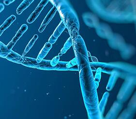 影響試管嬰兒的成功率有哪些(圖1)