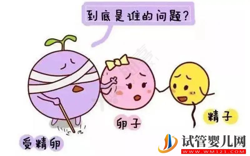 試管嬰兒卵子質量真的沒有辦法提升嗎？(圖1)