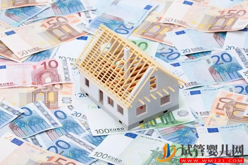 拉拉a卵b懷費用大概多少(圖3)