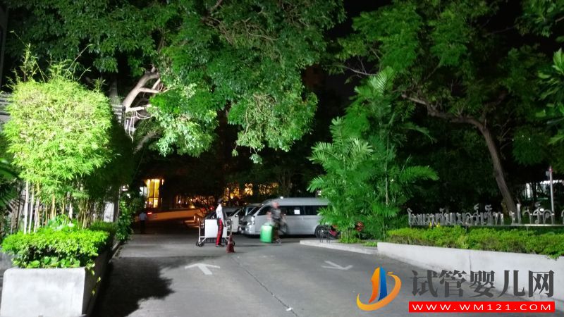 國外做試管嬰兒能選擇孩子性別嗎(圖1)