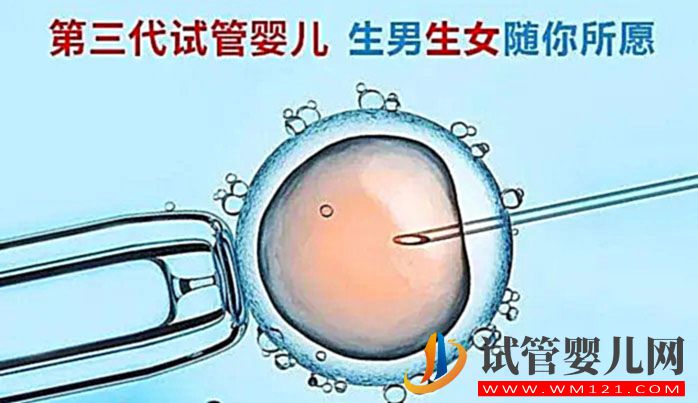 懷不上男孩是女人的問題嗎(圖1)