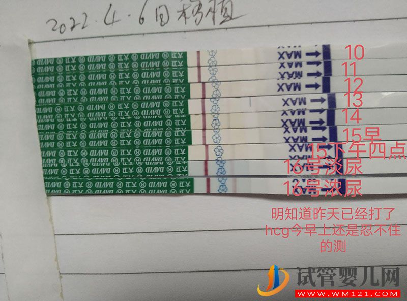 包生男孩就找第三代試管是真的嗎?(圖2)