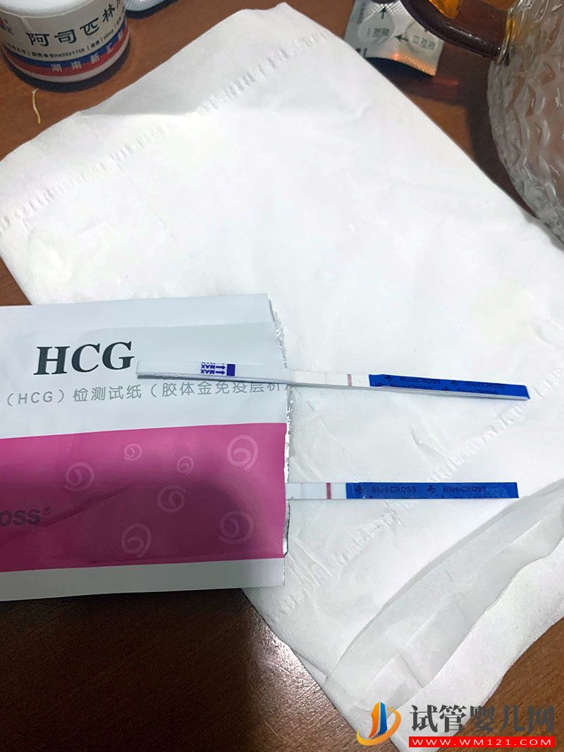 做試管嬰兒可以找人代生嗎(圖3)