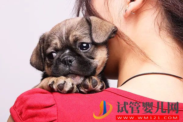 單身女性如何生混血寶寶(圖1)