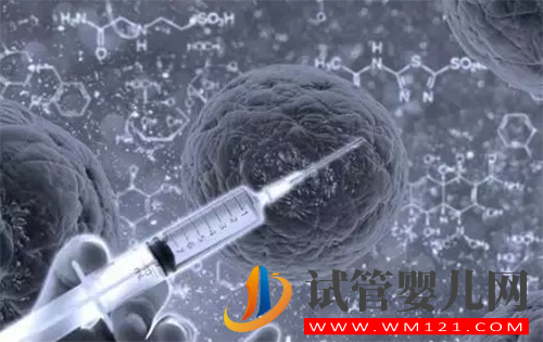 試管嬰兒收費價目表(含一代二代三代試管)(圖1)