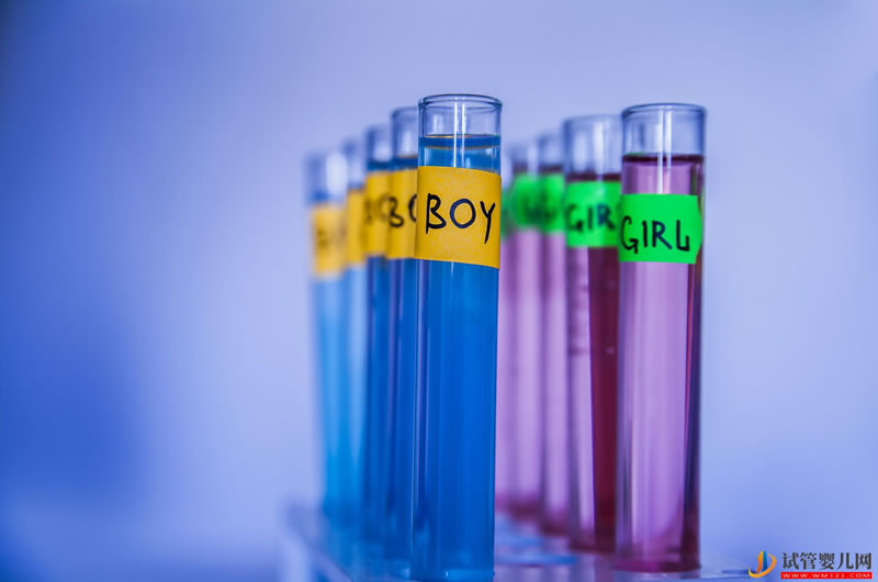 什么情況下非得做試管？具體步驟是什么？(圖1)