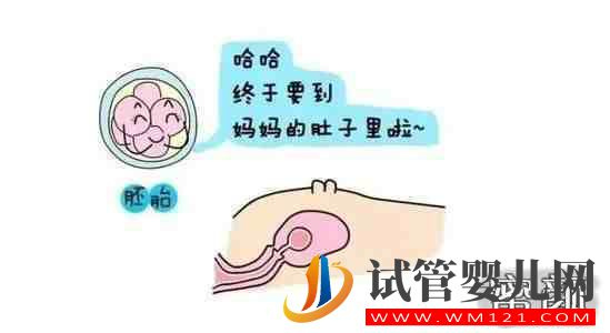 高齡女性排卵強陽后6小時內(nèi)同房得一枚男寶的幾率大嗎？(圖1)