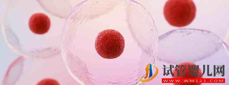 試管嬰兒取精一般要去幾次醫院？(圖2)