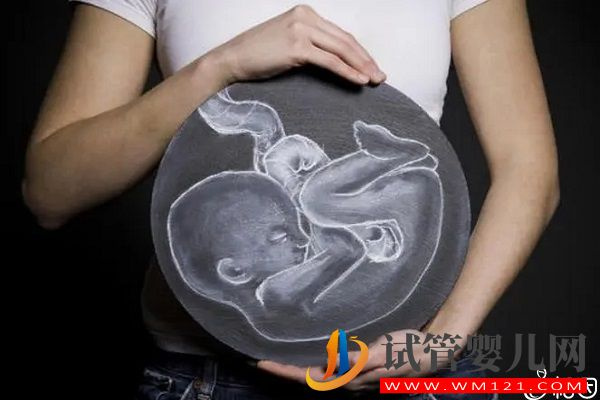 HC和AC標準值對照表參考，男女胎兒無明顯差異(圖3)