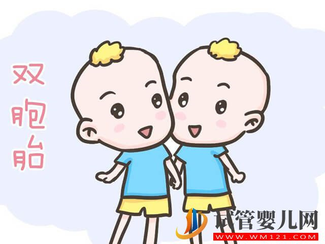 自然受孕的女性是咋懷上雙胞胎的？(圖1)