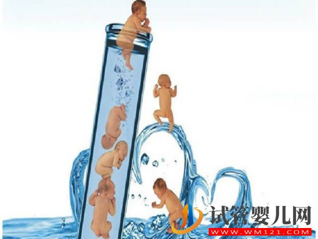 試管懷了雙胎，孕期第幾個月危險最大？(圖1)