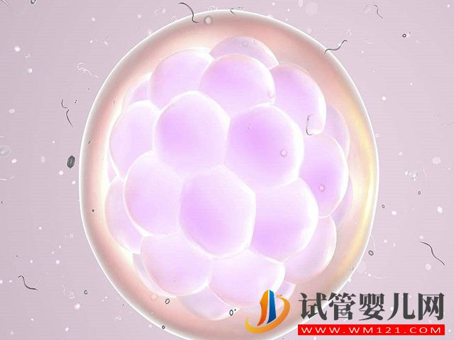 單胎移植變成雙胞胎要做腹部彩超嗎？(圖1)