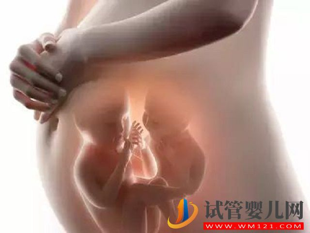 打促排卵針后可以提高懷雙胞胎的概率嗎？(圖1)