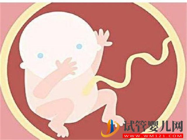 試管單胎的成功率高,還是雙胞胎的好?(圖1) 試管單胎的成功率高,還是雙胞胎的好?(圖1)