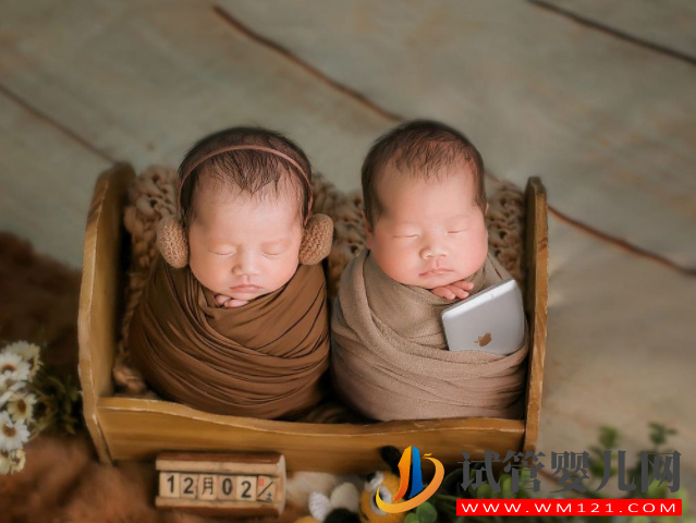 試管嬰兒中的“單卵雙胎”可不是好事，早產(chǎn)、畸形風險高(圖1)