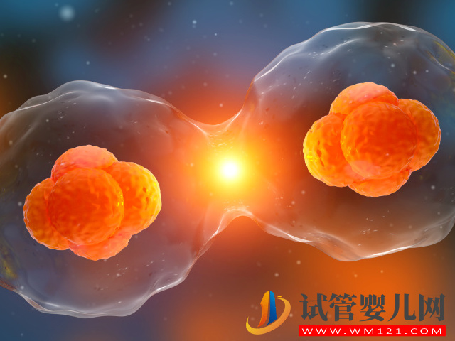 試管嬰兒中的“單卵雙胎”可不是好事，早產(chǎn)、畸形風險高(圖2)