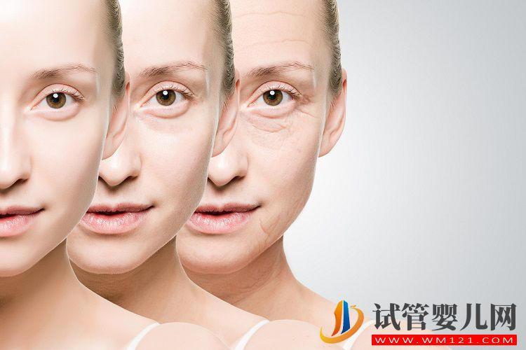 卵巢功能衰退的女性看過來，輔酶Q10或許可以改善(圖2)