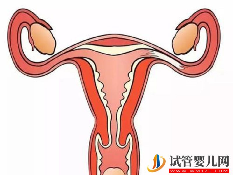 檢查雌二醇低的是不是卵巢早衰？(圖1)