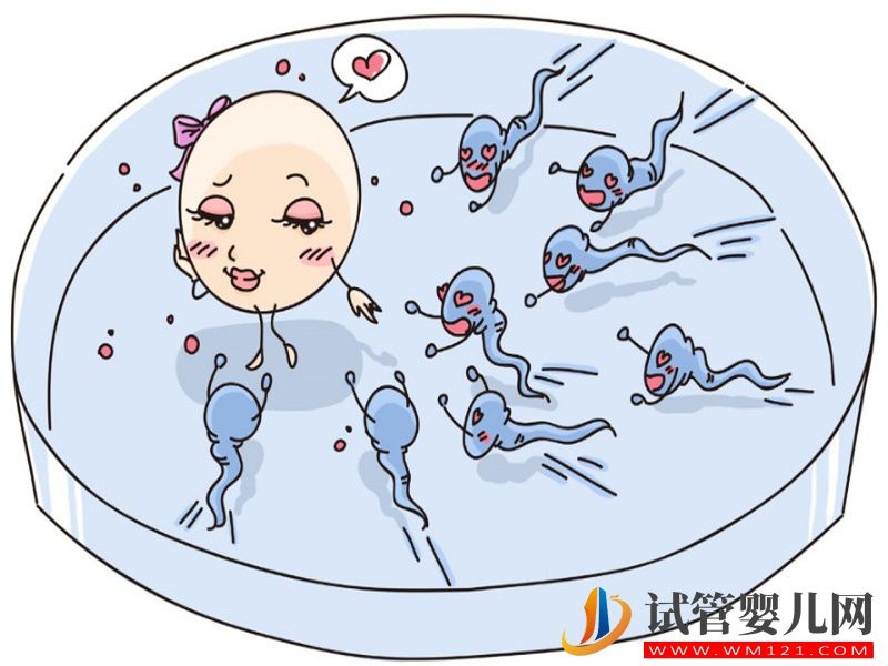 卵巢早衰助孕有方法，赴美IVF助你提高胚胎著床率(圖1)