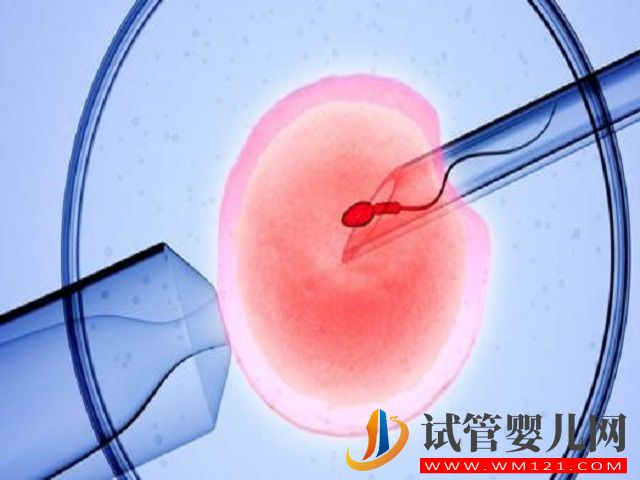 中國允許兩個(gè)同性生自己的孩子嗎？(圖2)