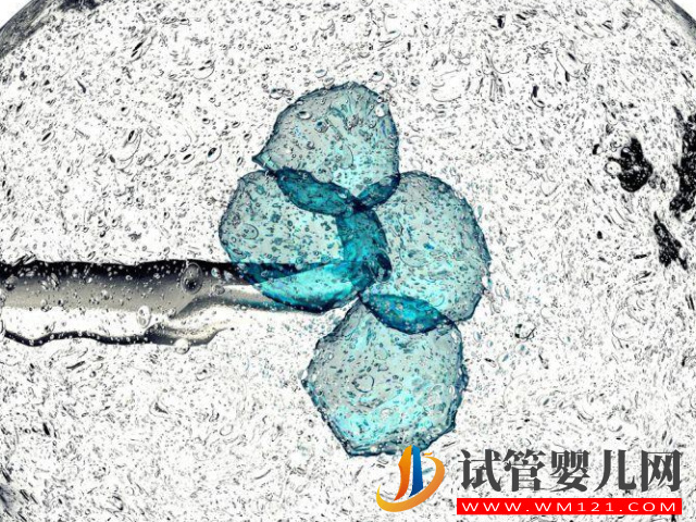 試管嬰兒胚胎移植共3種方案，但成功率、技術等都是不一樣(圖1)