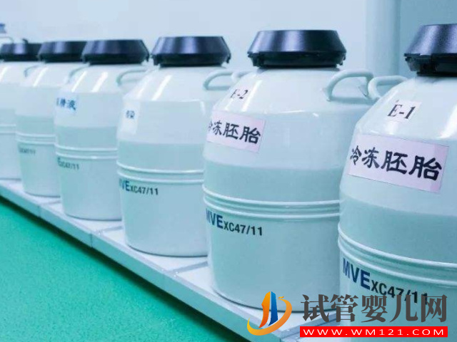 試管嬰兒胚胎移植共3種方案，但成功率、技術等都是不一樣(圖2)