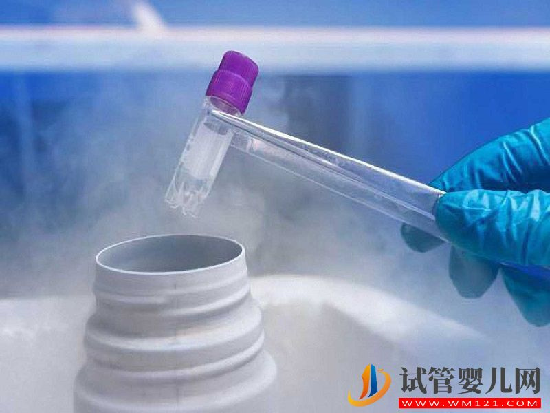 禁止單身女性冷凍卵子的原因已找到，不健康是首要因素(圖2)