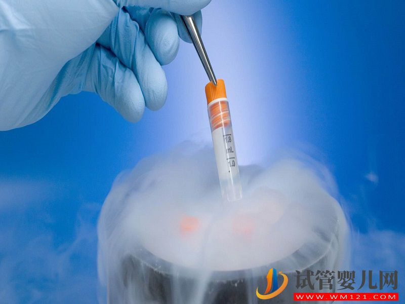 講述女性凍卵的緣由，成功率如何還有待考究(圖1)