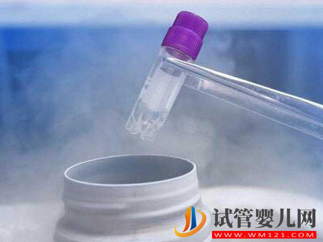 美國冷凍卵子一年需要多少錢(圖1)