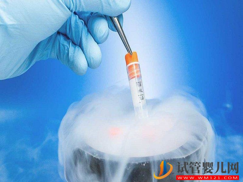 在香港做冷凍卵子，10年的保存費(fèi)用是多少？(圖1)