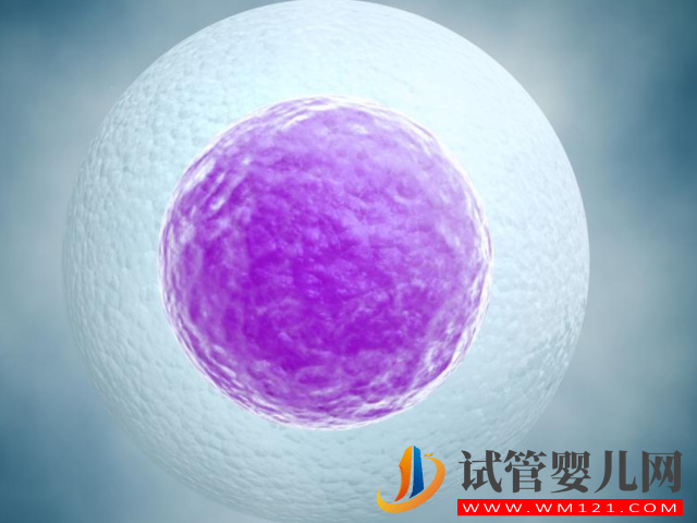 大齡單身女性在成都華西醫院進行凍卵要多少錢？(圖2)