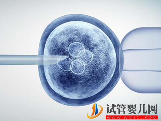 高齡女性做試管用凍卵成功率高嗎？(圖1)