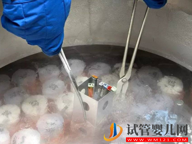 國內單身女性冷凍3個卵子需要多少錢？(圖1)