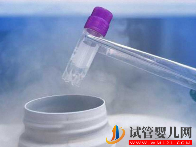 國內單身女性冷凍3個卵子需要多少錢？(圖2)