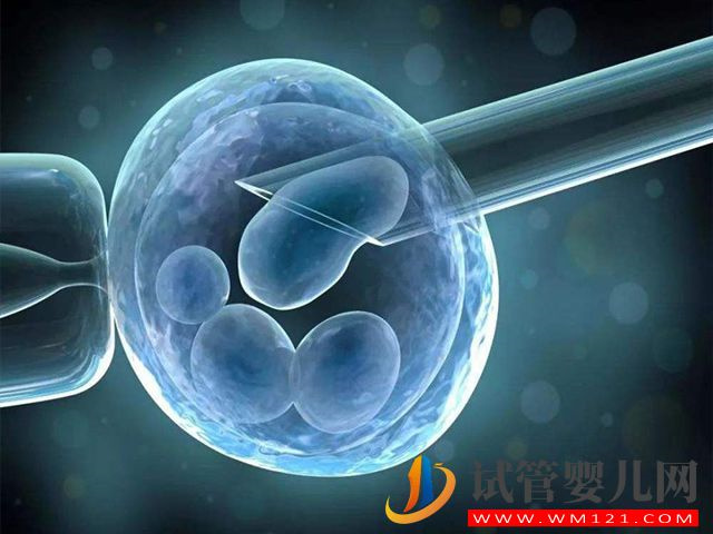 絕經8年的女性還能移植冷凍胚胎嗎？(圖1)