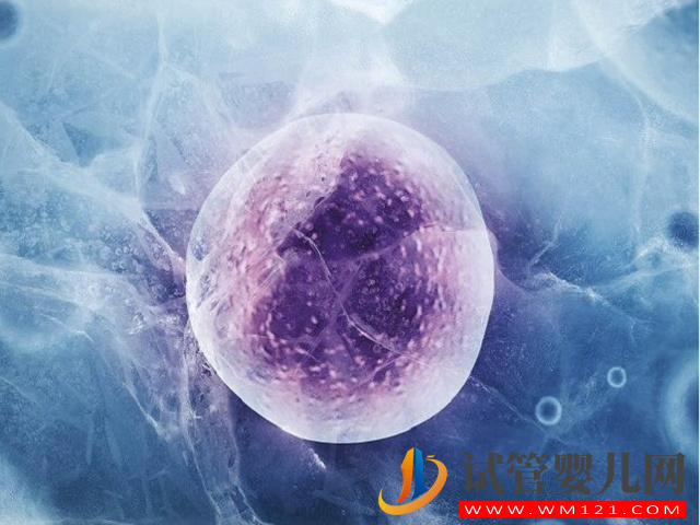 國外有哪些冷凍卵子的正規(guī)機(jī)構(gòu)？(圖1)
